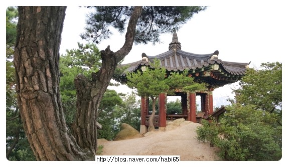  수락산 매월정 새벽등반을 하다!