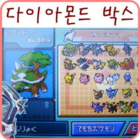  포켓몬스터 다이아몬드 박스 소개