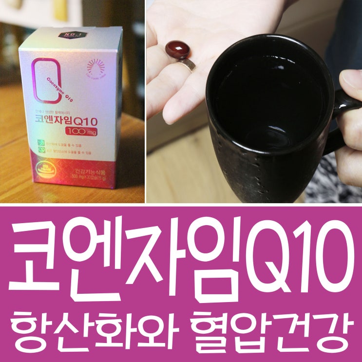  항산화와 혈압 건강을 코엔자임 Q10으로 챙겨요!!