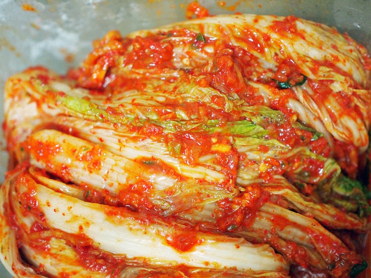  우리집 메인 반찬을 책임져줄 도와김치의 포기김치