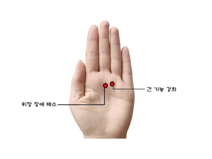 숙취해소에 도움이 되는 지압법~!!