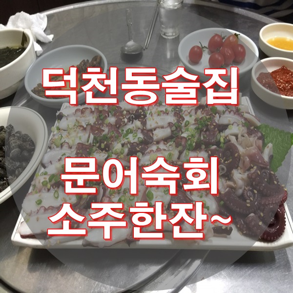  덕천동술집 문어숙회에 소주한잔~