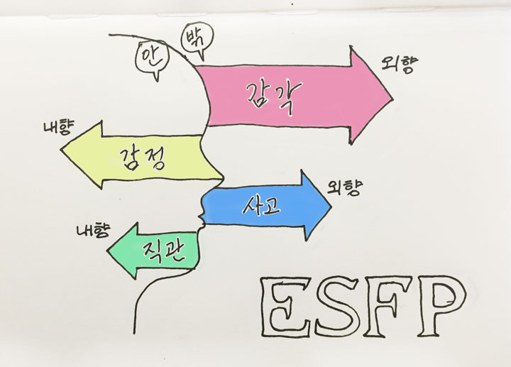  ESFP, "연예인형"이 도대체 뭐야?