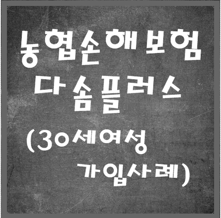  농협손해보험 다솜플러스 30세여성 가입사례
