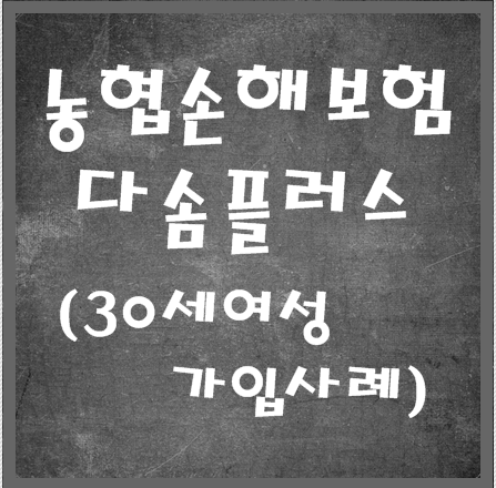 농협손해보험 다솜플러스 30세여성 가입사례