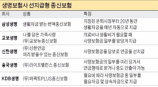 사망보험금 당겨쓰는 '선지급 보험' 인기 사망보험금 당겨쓰는 '선지급 보험' 인기