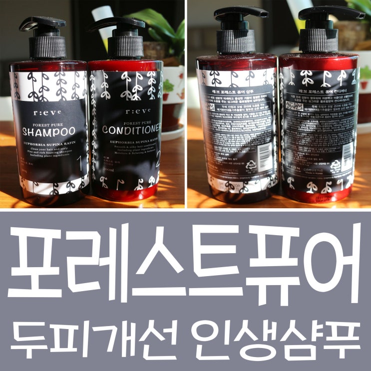  두피개선샴푸 포레스트퓨어 샴푸 컨디셔너로 인생샴푸등극!