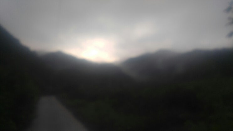 이른아침 산책