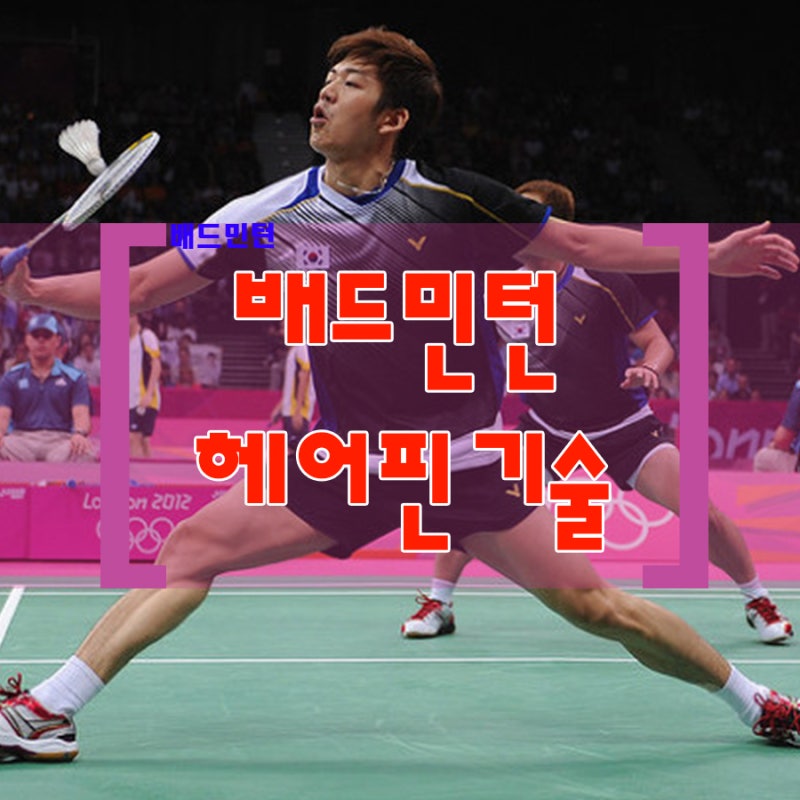 ë„¤íŠ¸ë¥¼ ì‚¬ìˆ˜í•˜ëŠ