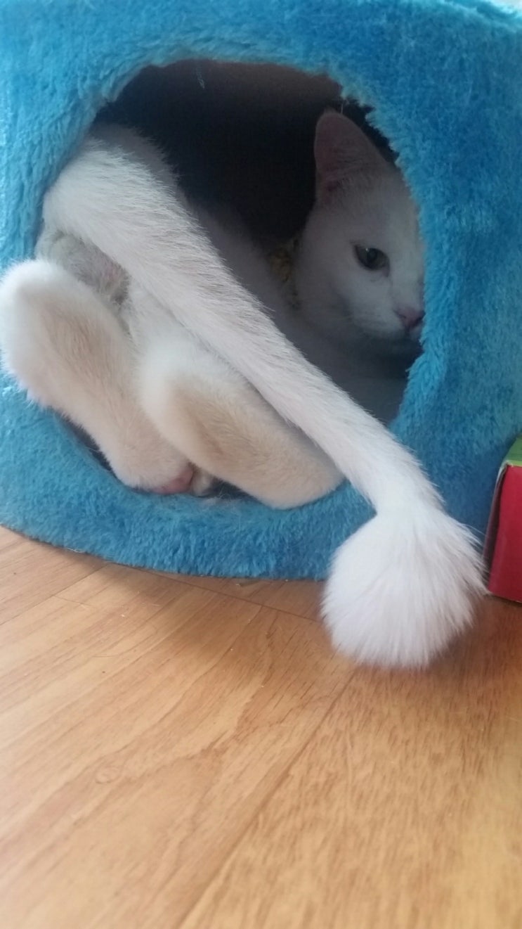  모닝 이자소식