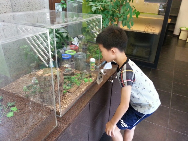  [일산] 곤충 테마카페 커피에 빠진 장풍이~