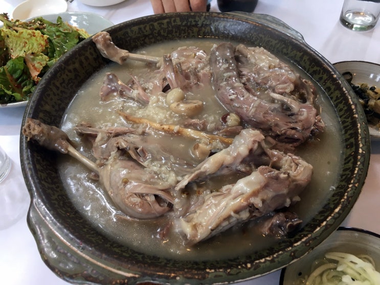 경기도 광주시 오리 백숙 맛집 "행복한 식탁"