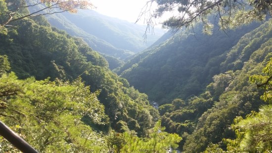  다가올 가을..그리고 지리산