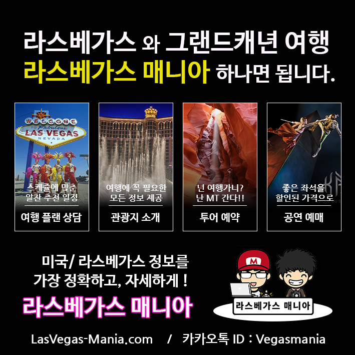 라스베가스 매니아 투어 비교 : 네이버 블로그