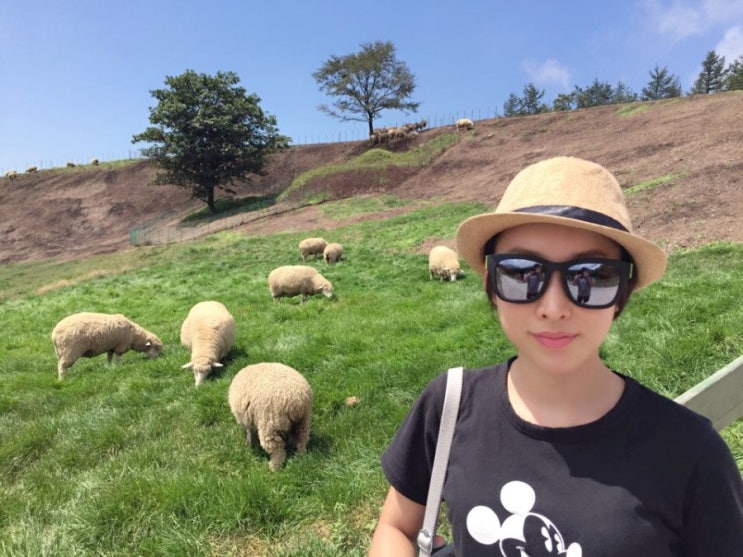  대관령 양떼목장 가족여행 후기