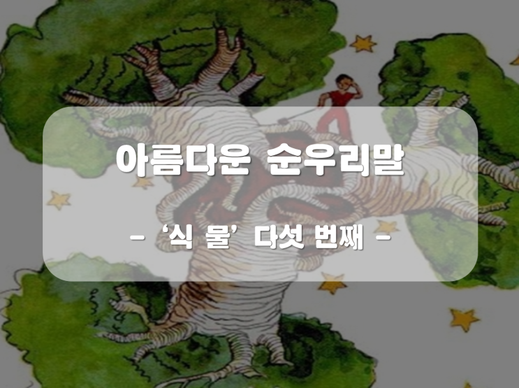  [아름다운 순우리말] 식물의 예쁜 순우리말 다섯번째, '고주박 솔가리 애채 잎파랑이 화라지'