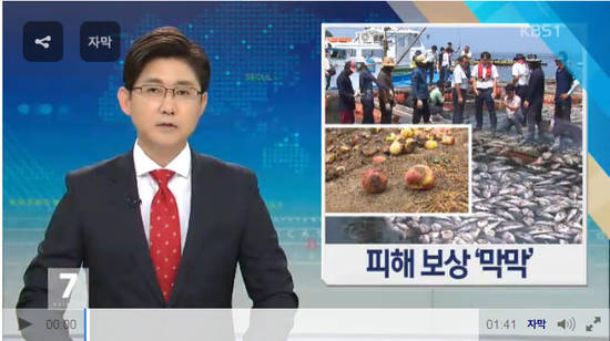 농수산물 재해보험…폭염에 ‘속수무책’ - KBS뉴스 농수산물 재해보험…폭염에 ‘속수무책’ - KBS뉴스