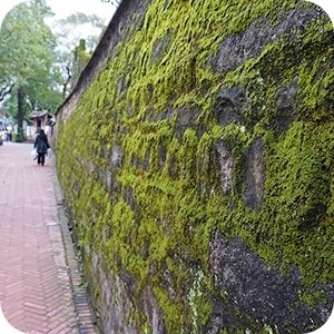  [대만여행] 1일차(下) | 시먼홍루-임가화원(-101빌딩)