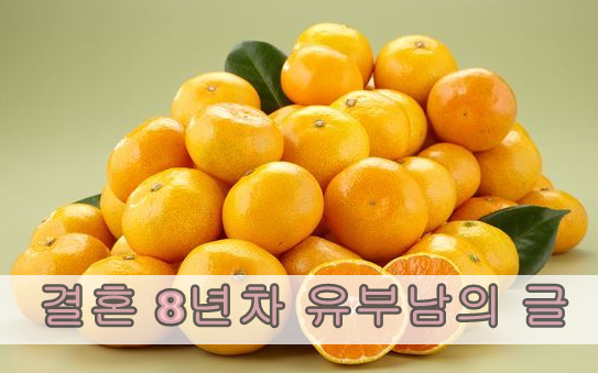  결혼 8년차 유부남의 글~