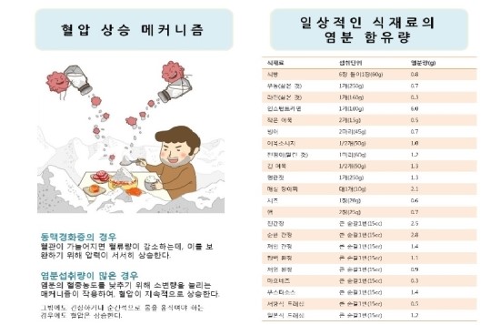 한국인의 3대 사망 원인 ㅡ 1. 뇌졸증 : 염분조절대책 필요!! 한국인의 3대 사망 원인 ㅡ 1. 뇌졸증 : 염분조절대책 필요!!