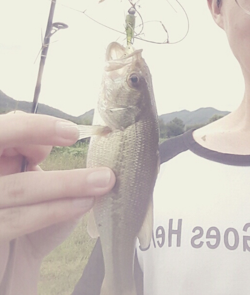  160827~28 가평 루어낚시, 캠핑