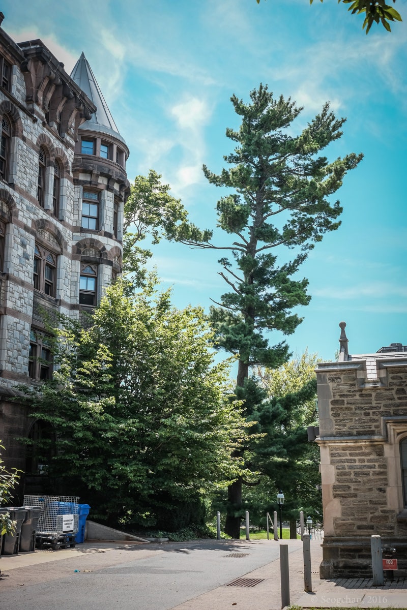 16. 프린스턴대학, 최고의 아이비리그를 가다 : 네이버 블로그, image size:800x1200