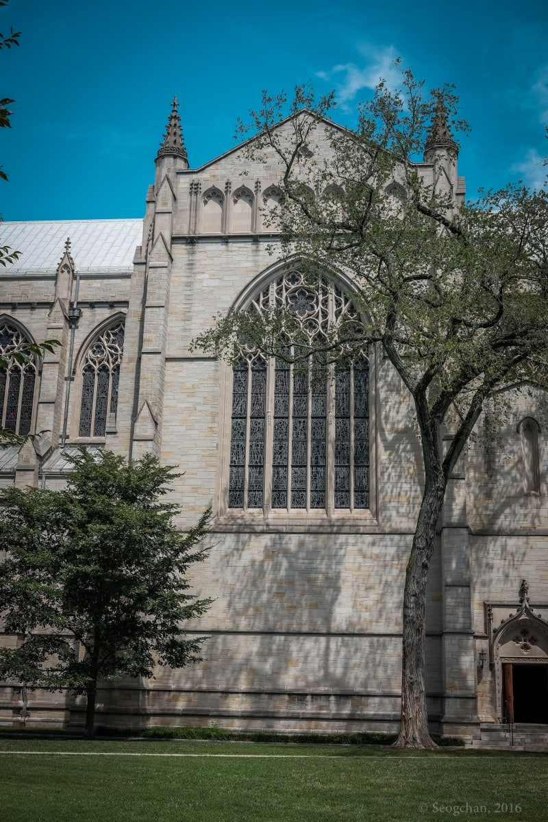 16. 프린스턴대학, 최고의 아이비리그를 가다 : 네이버 블로그, image size:800x1200