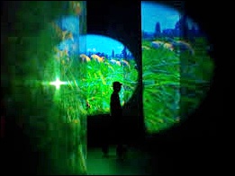 피필로티 리스트(Pipilotti Rist)/'하늘로 오르다(Spear To Heaven ...