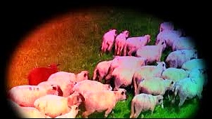 피필로티 리스트(Pipilotti Rist)/'하늘로 오르다(Spear To Heaven ...