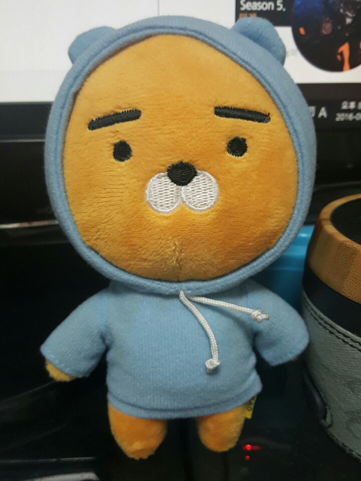  강남 카카오프렌즈샵 후디 라이언 득템!