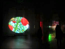 피필로티 리스트(Pipilotti Rist)/'하늘로 오르다(Spear To Heaven ...