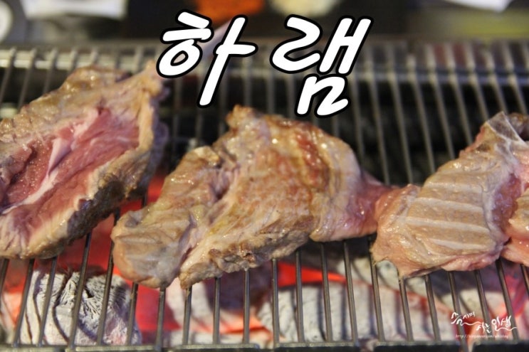  [선릉 양꼬치 맛집] 선릉역 회식장소로도 좋은 하램 