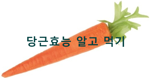  [업스케일 식재료 당근의 효능] 당근 영양소와 당근요리 맛있게 하는 방법은?