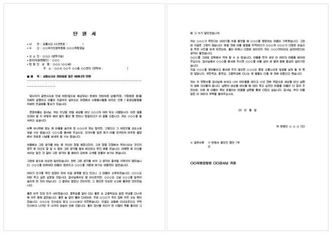 탄원서 작성법과 탄원서사례(교통사고, 선처, 개명) 알아보기 : 네이버 블로그