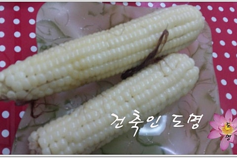 삼지건축 이미지