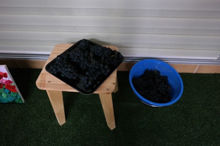 포도주 담그는 법, 포도주 만드는 방법