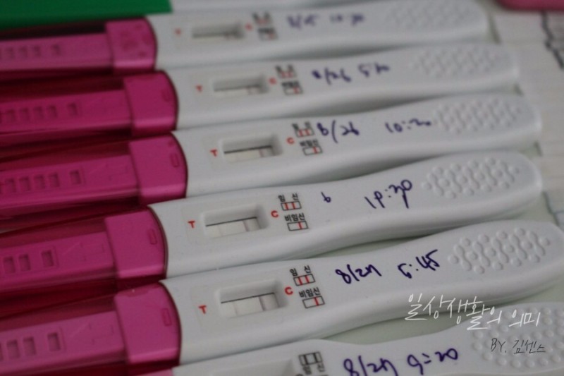 테기 사용 시기 임 임신테스트기 사용시기,사용법