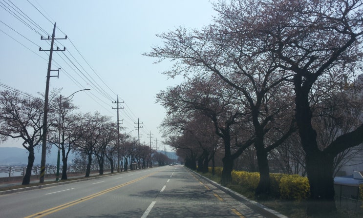  추석 연휴 어떻게 보내실 건가요?