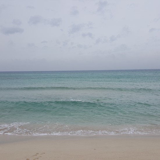  제주도 곽지과물해변 제주꽃밥