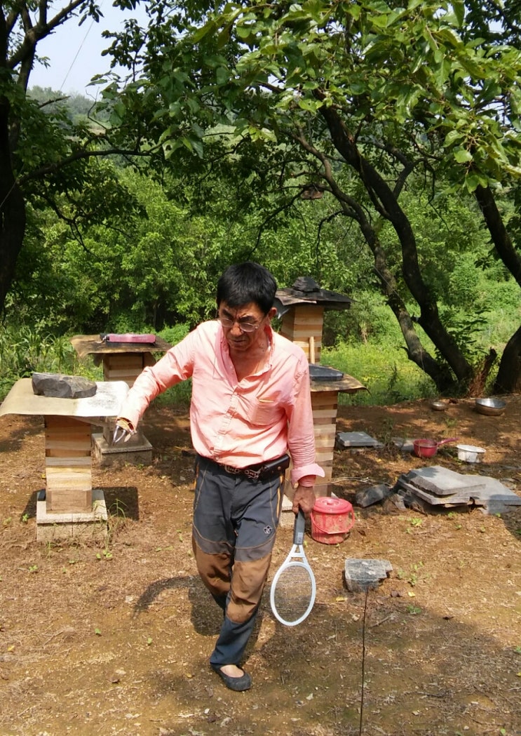  등검은말벌 전기파리채로 잡아요