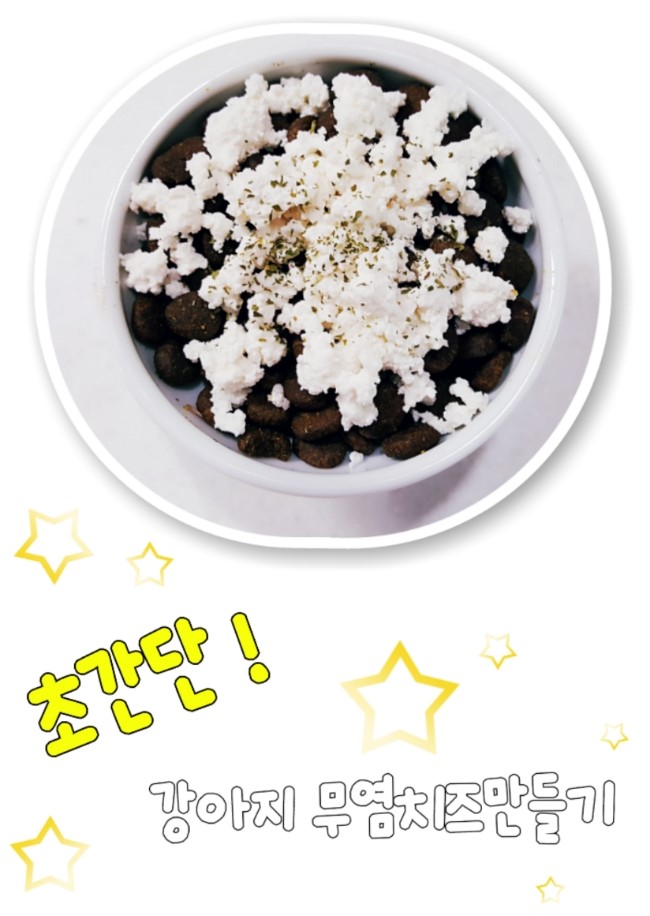  강아지무염치즈만들기 #락토프리우유
