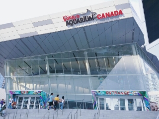 4. Toronto citypass - Ripley's Aquarium, CN tower, Dundas square, Ontario science centre, St James church, St Lawrence market