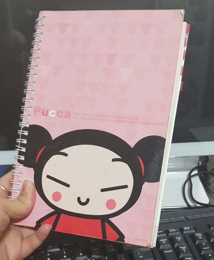  현아 작가가 일기를 쓰는 이유는?