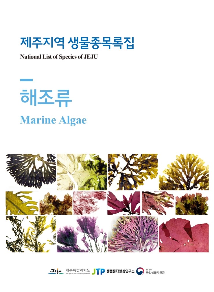  해조류