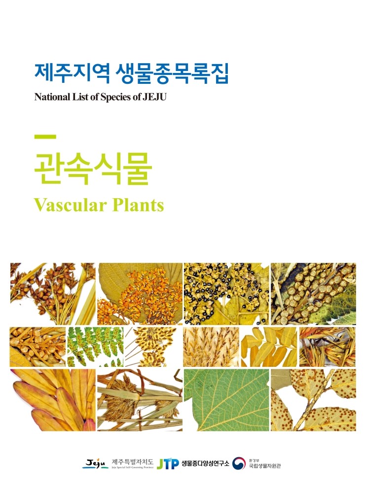  관속식물
