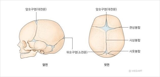 아기(신생아) 대천문 & 소천문 - 크기 및 닫히는 시기 등 : 네이버 블로그