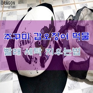 주꾸미 먹물 지우는방법 : 갑오징어 먹물 세탁 과탄산소다 빨래
