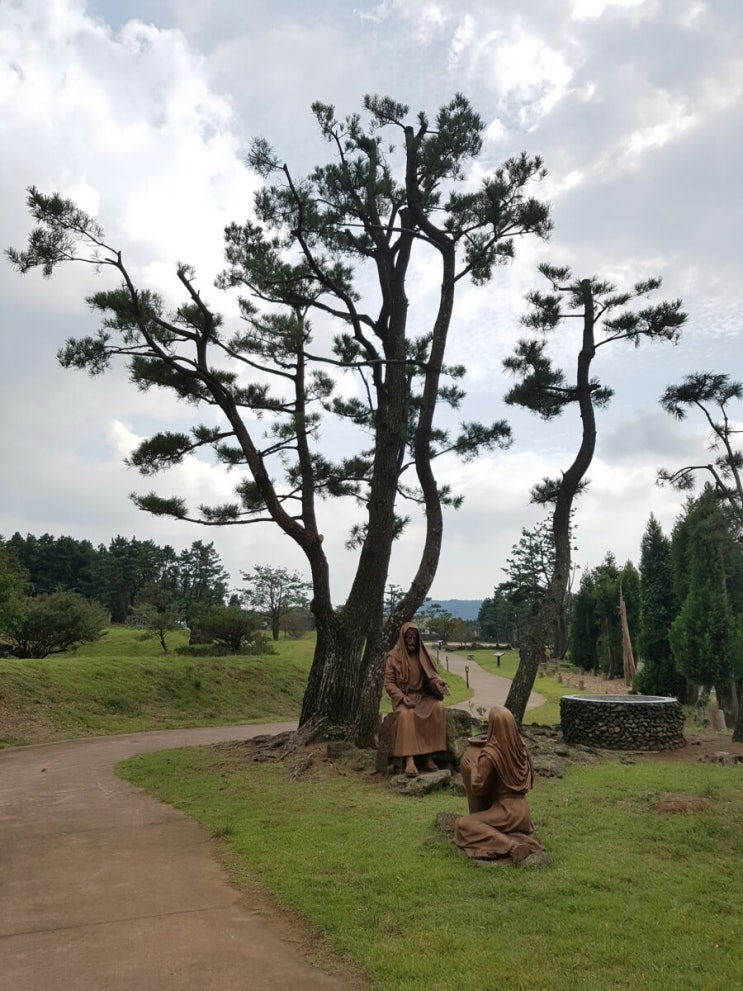 이어도지역자활센터 조합원교육 이어도지역자활센터 조합원교육