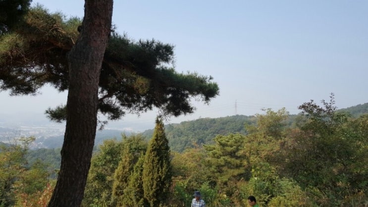  주말에 성묘 다녀왔습니다. 