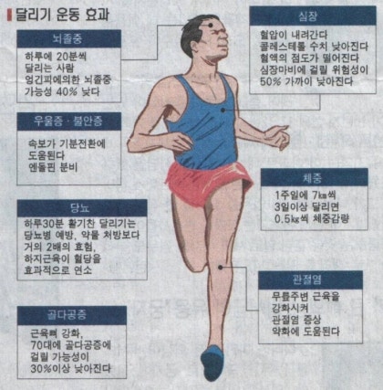 달리기의 효과 (압구정PT 슬림투바디짐) : 네이버 블로그 달리기의 효과 (압구정Pt 슬림투바디짐) : 네이버 블로그